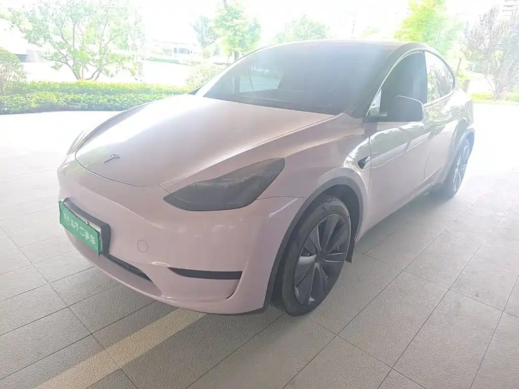 Tesla Model Y — миниатюра 2