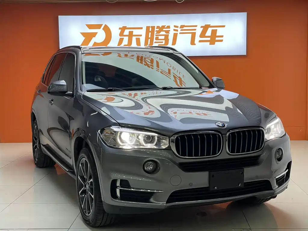 BMW X5 New Energy (Import) — миниатюра 3
