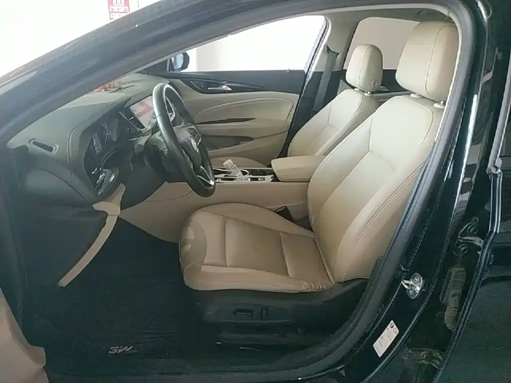 Buick Regal — миниатюра 15