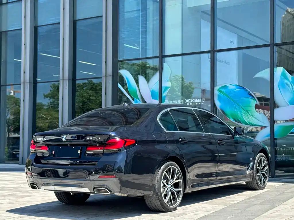 BMW 5 Series — миниатюра 5