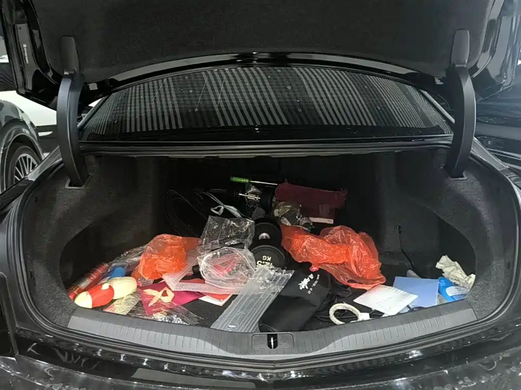 Cadillac CT6 — миниатюра 19