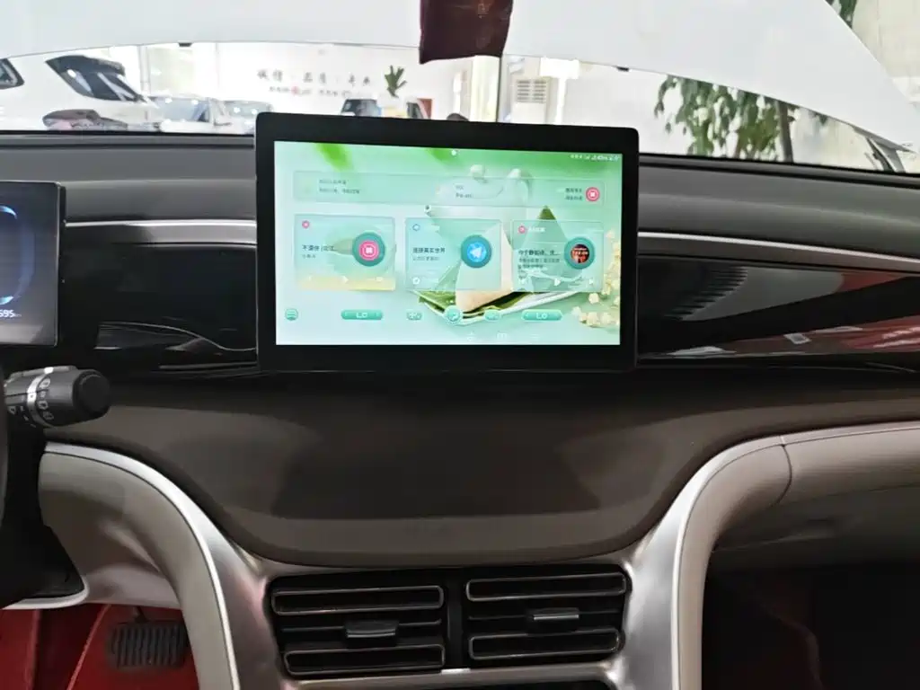 BYD Pro New Energy — миниатюра 13