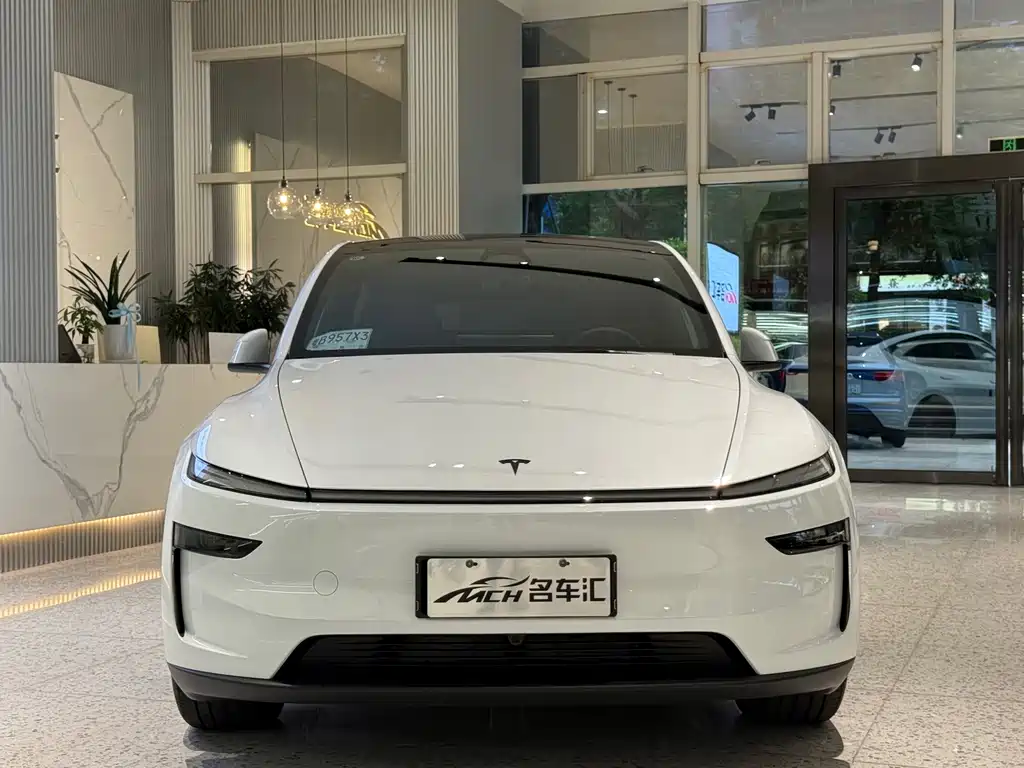 Tesla Model Y — миниатюра 2