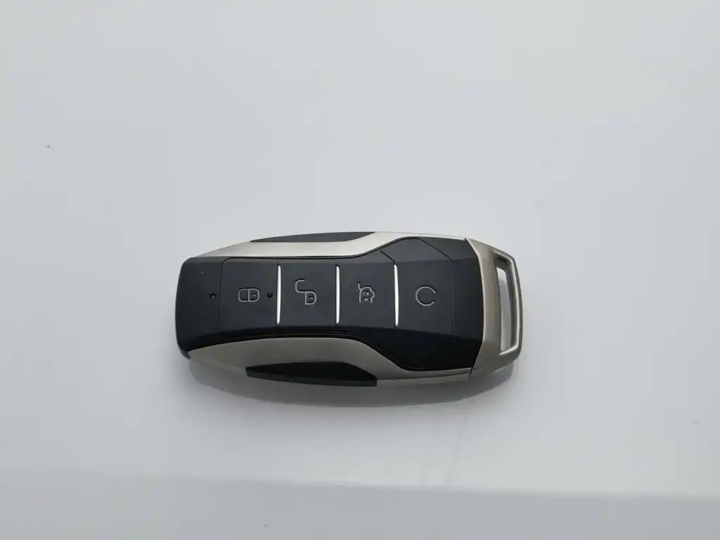 BYD PLUS — миниатюра 19