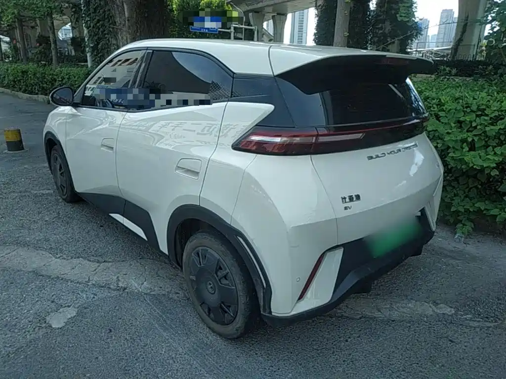 BYD Seagull