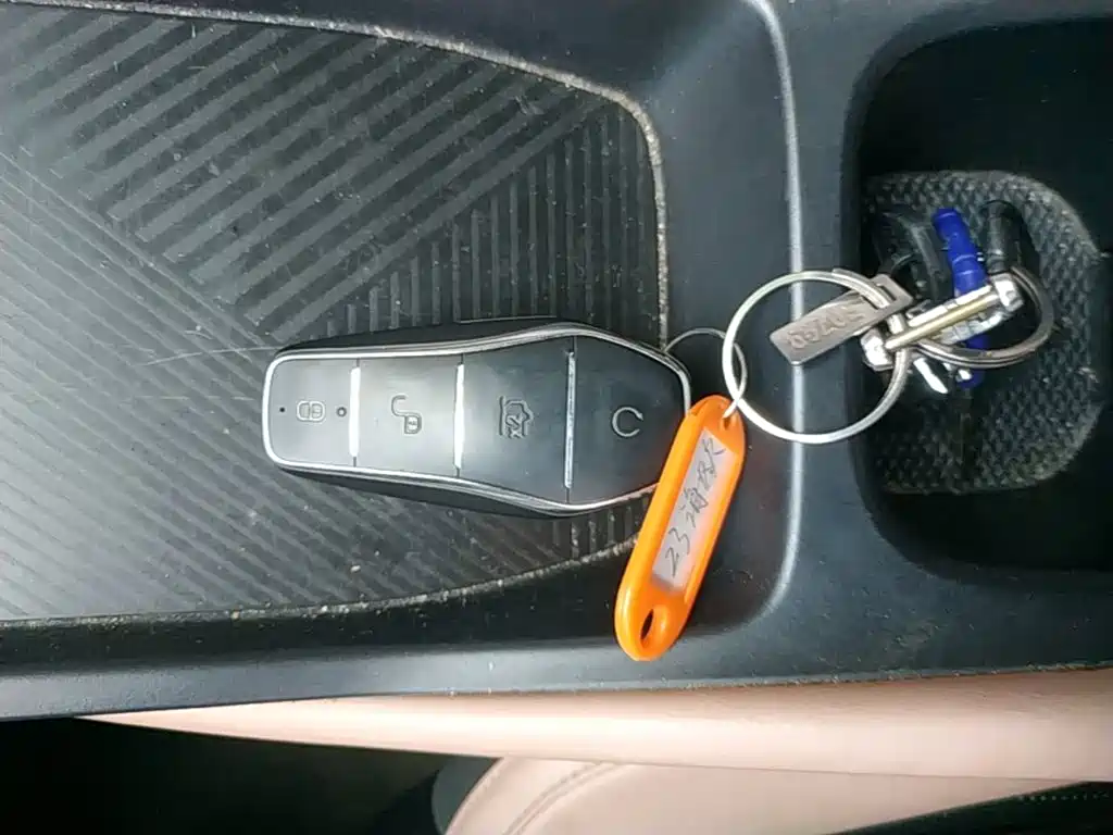 BYD Seagull