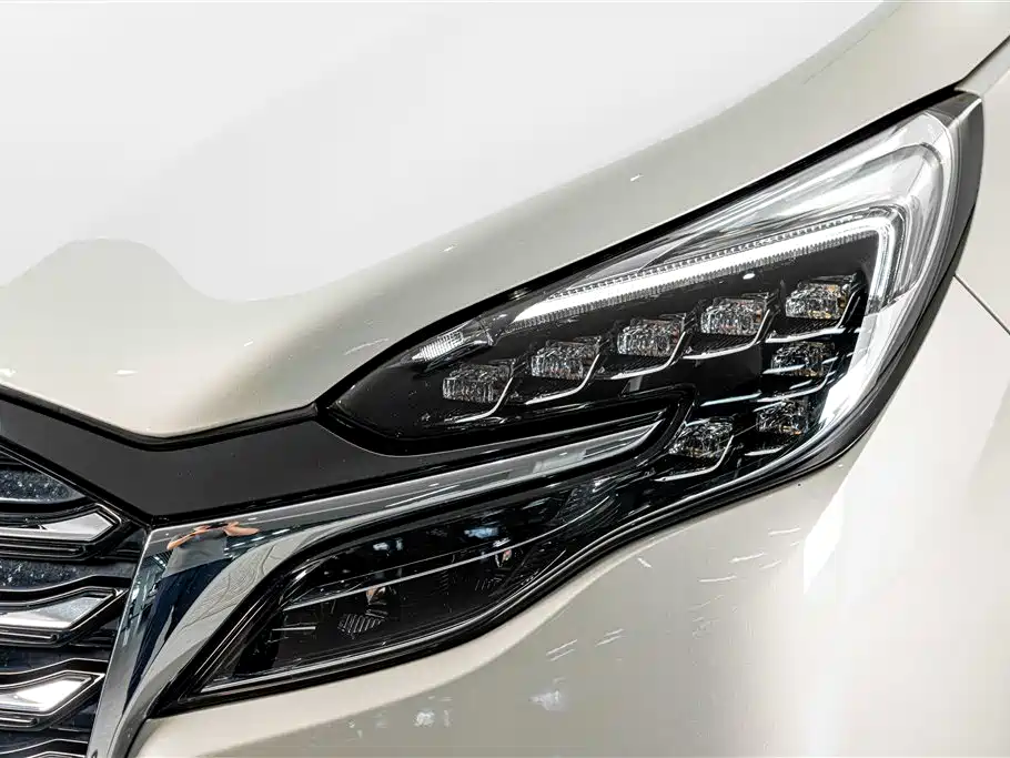 Buick GL8 — миниатюра 4