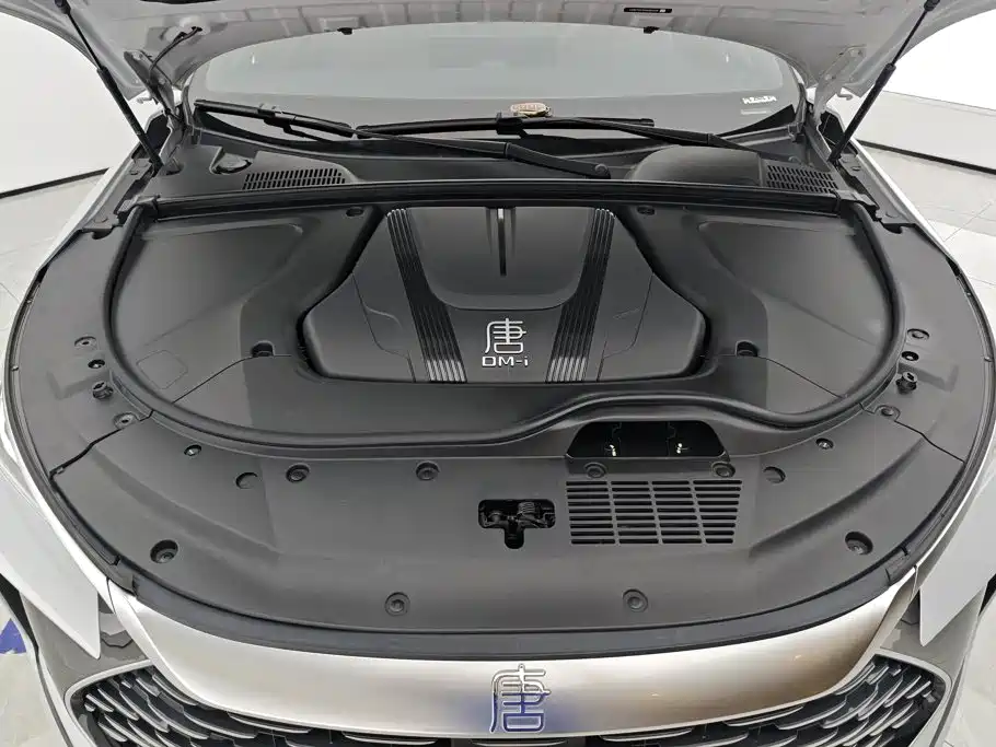 BYD Tang New Energy — миниатюра 10