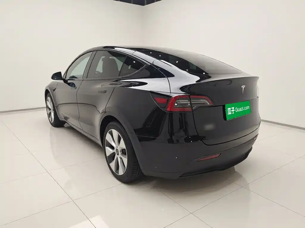 Tesla Model Y — миниатюра 4