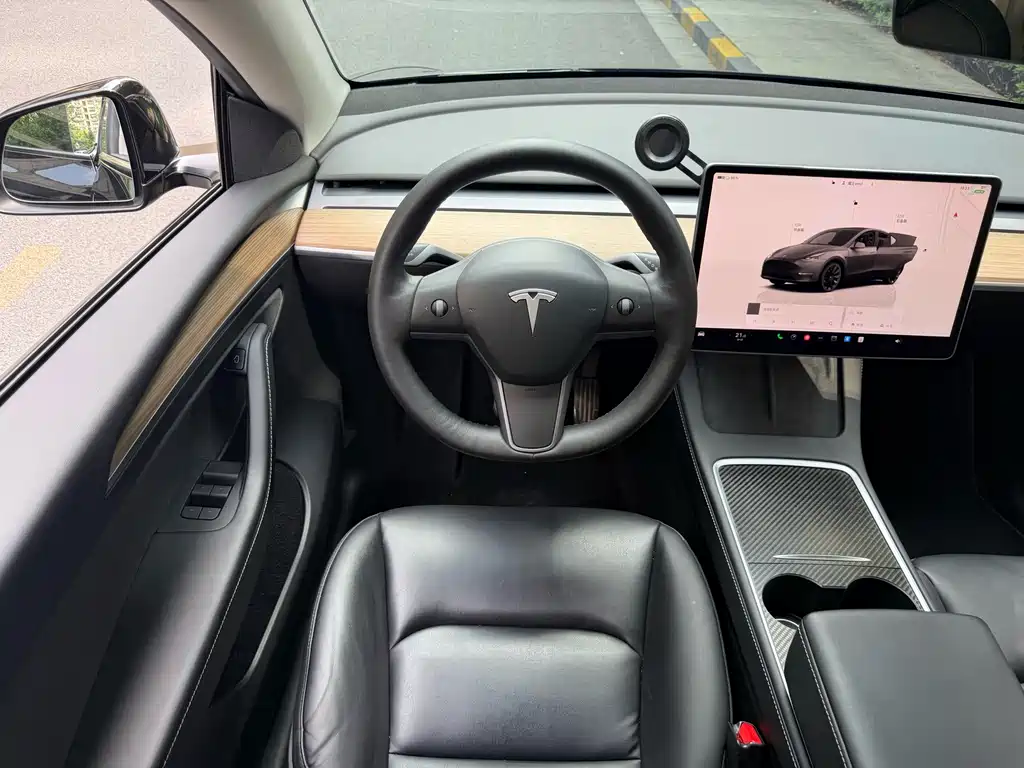 Tesla Model Y — миниатюра 15