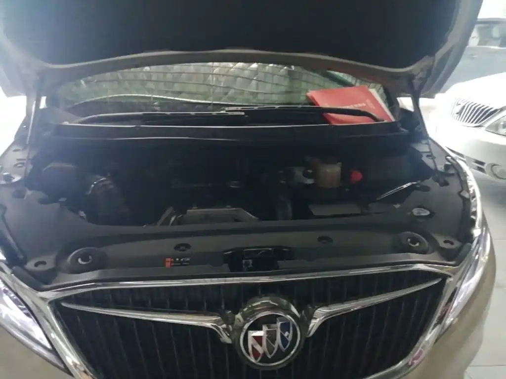 Buick GL8 — миниатюра 20