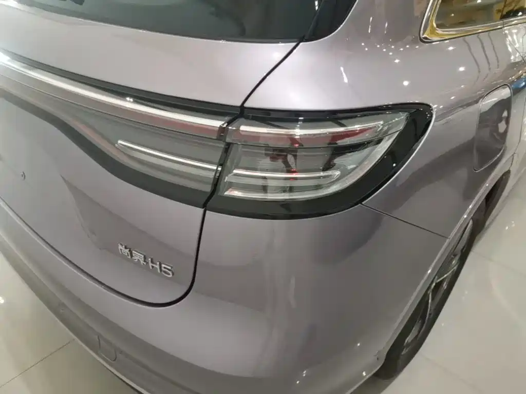 Shangjie Shangjie H5 — миниатюра 8