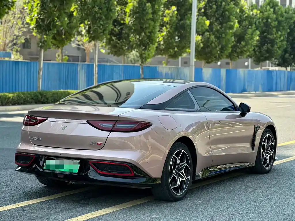 Neta Neta GT — миниатюра 7