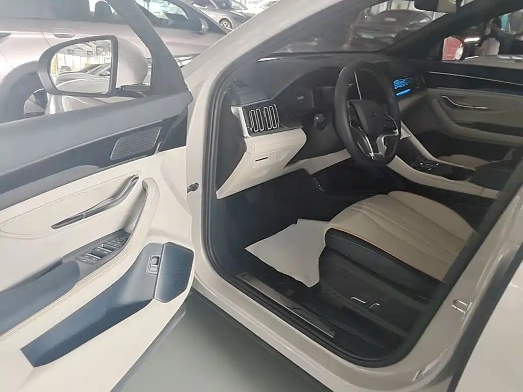 BYD PLUS New Energy — миниатюра 16