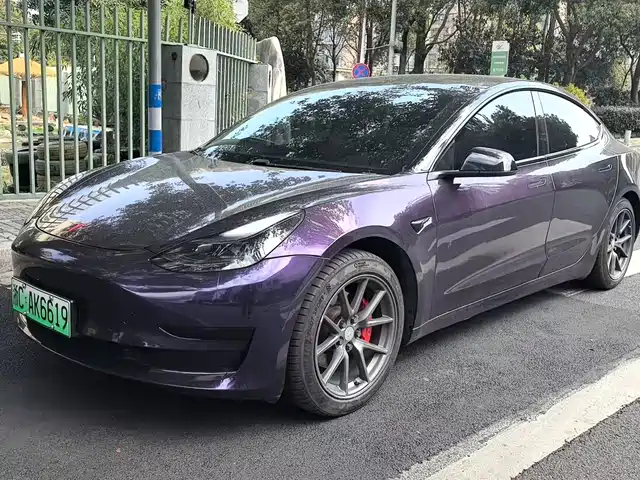 TESLA MODEL 3 2021