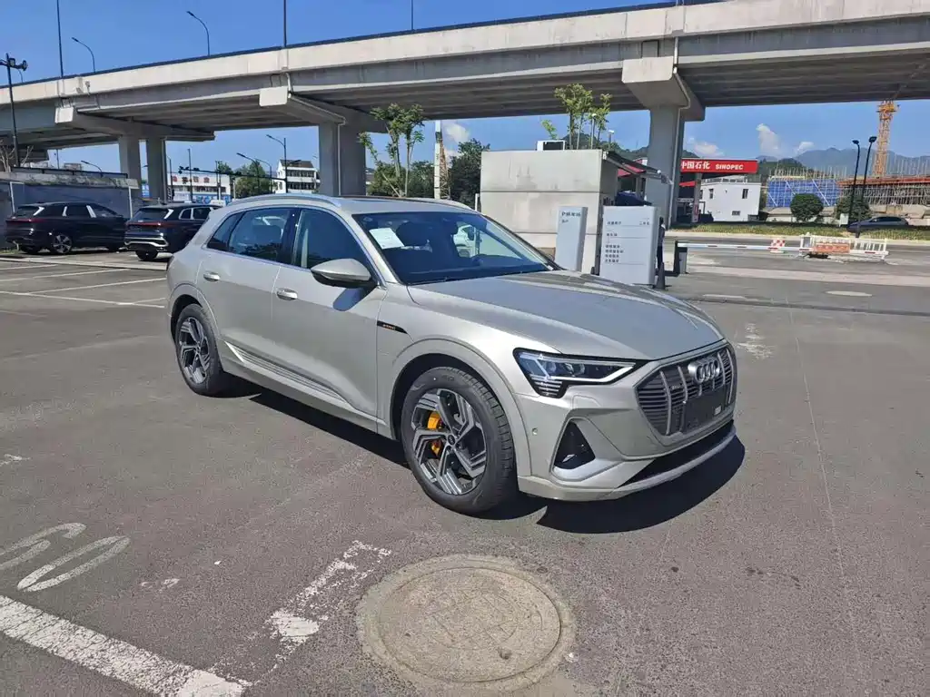 Audi e-tron — миниатюра 3