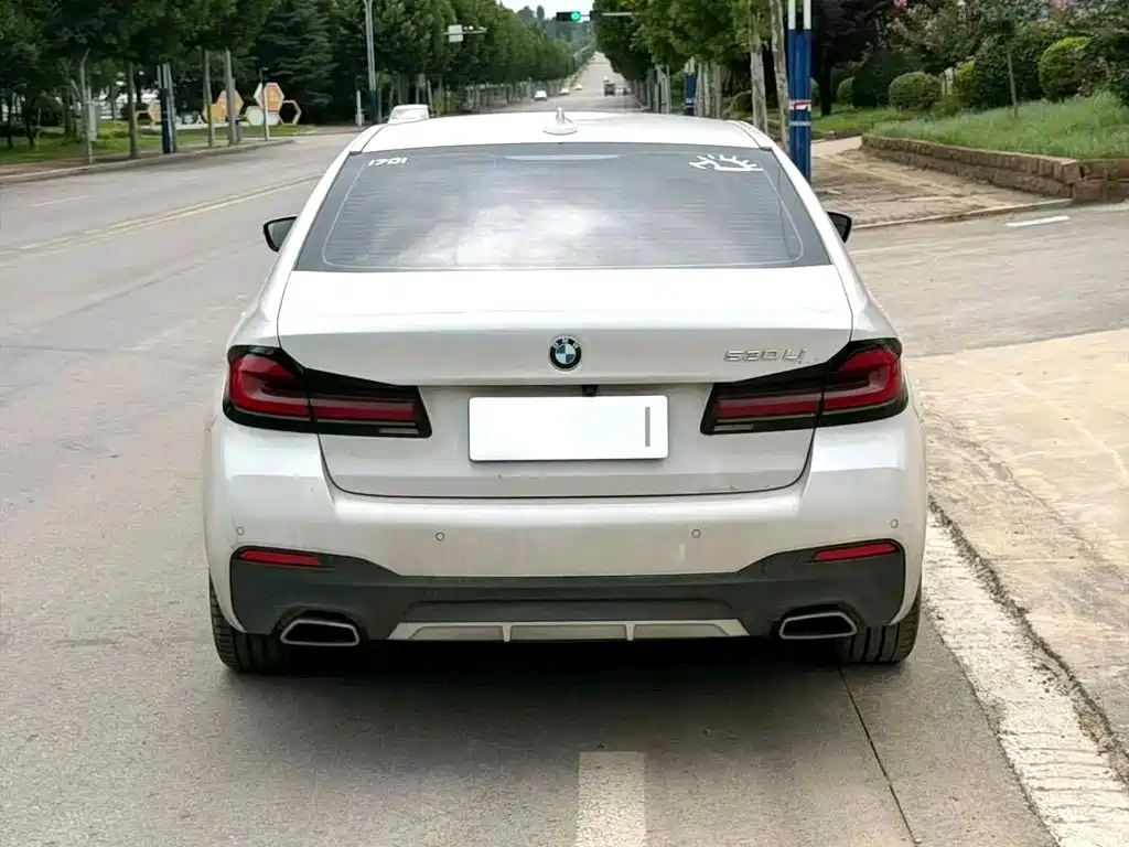 BMW 5 Series — миниатюра 3