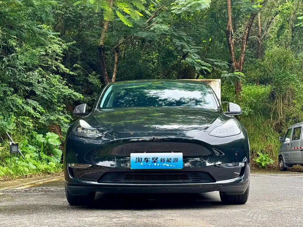 Tesla Model Y — миниатюра 2