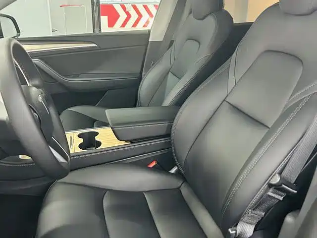 Tesla Model Y — миниатюра 5