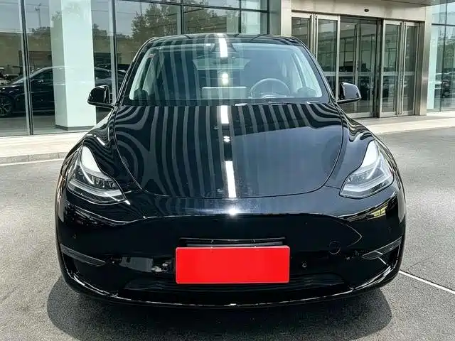 Tesla Model Y — миниатюра 2