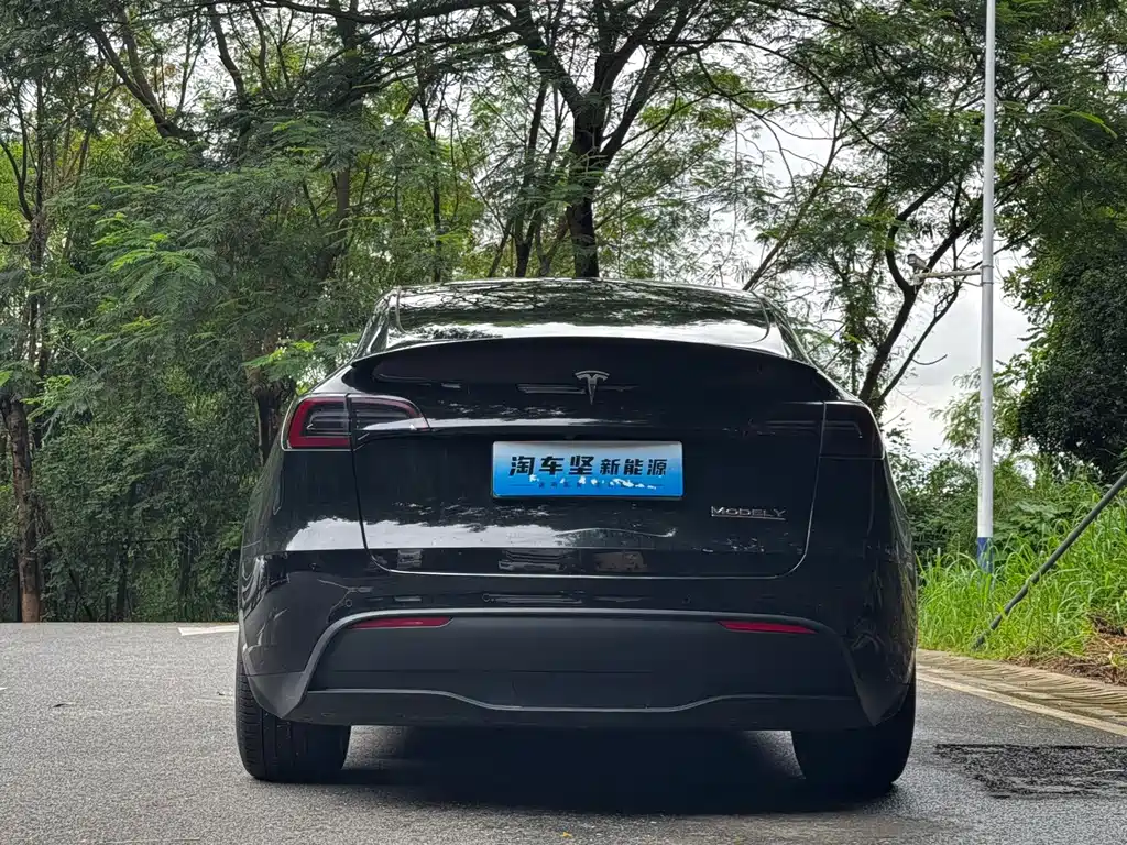 Tesla Model Y — миниатюра 4