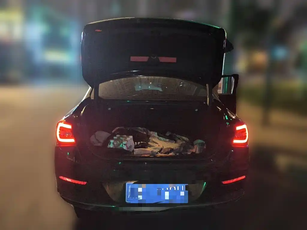 Hongqi Hongqi H5 — миниатюра 15