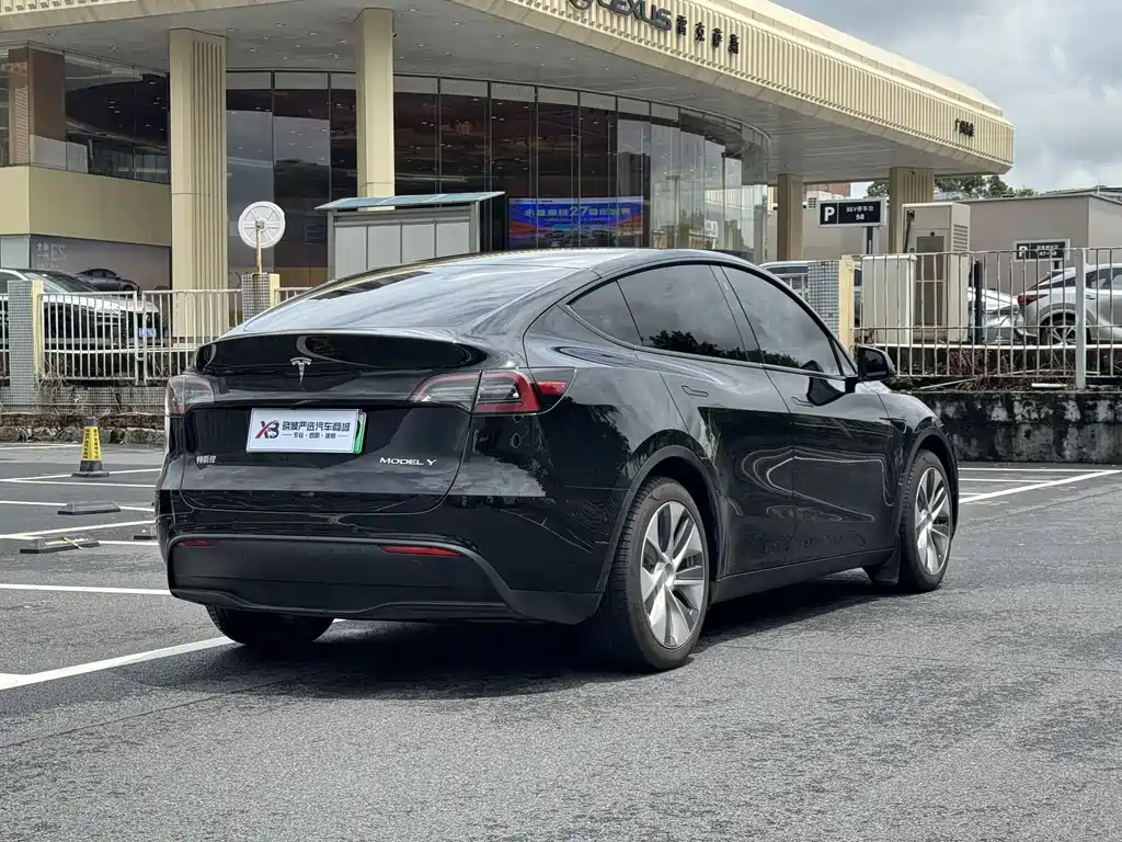 Tesla Model Y — миниатюра 14