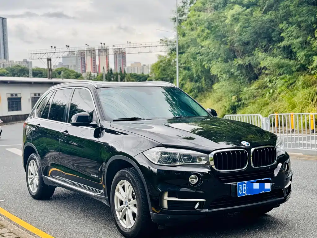 BMW X5 (Import) — миниатюра 3