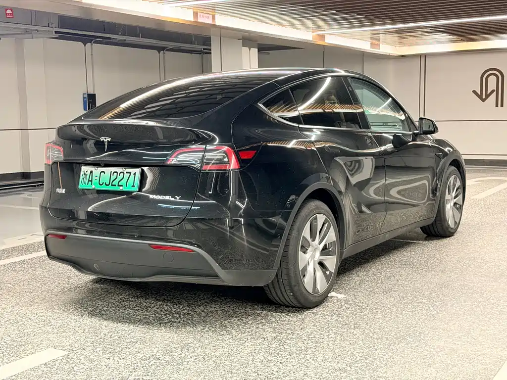 Tesla Model Y — миниатюра 8