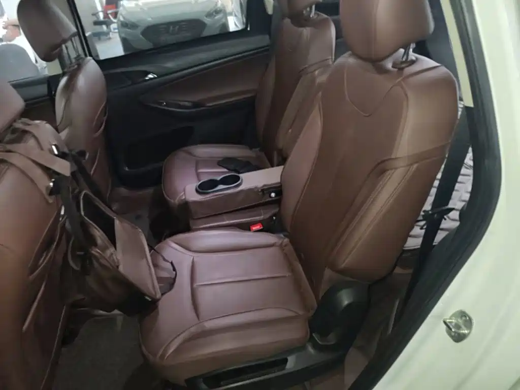 Buick GL6 — миниатюра 17