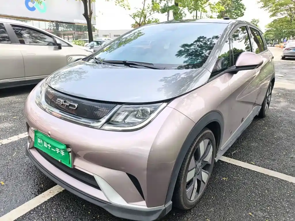 BYD Dolphin
