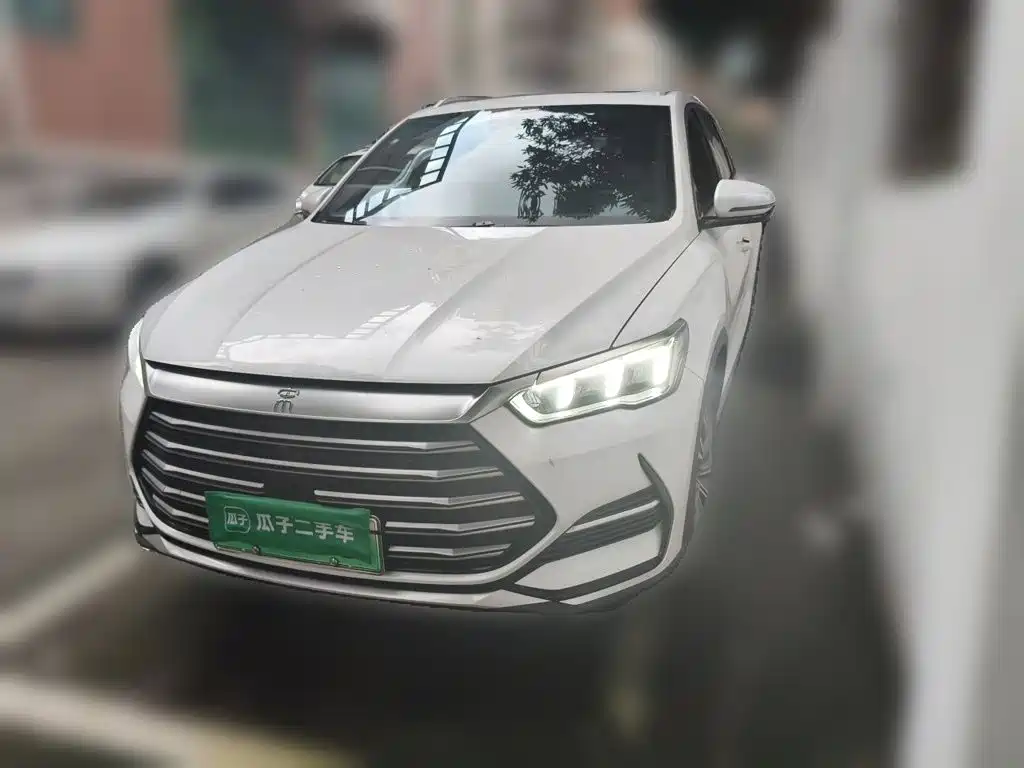 BYD Pro New Energy