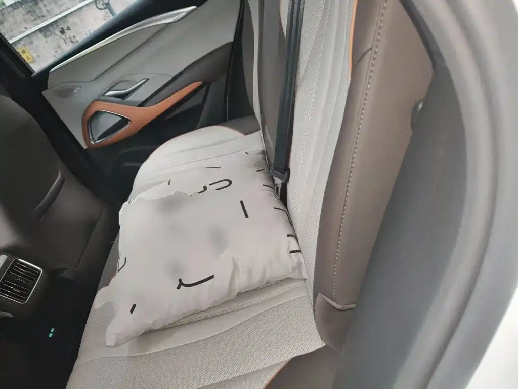 BYD Pro New Energy — миниатюра 13