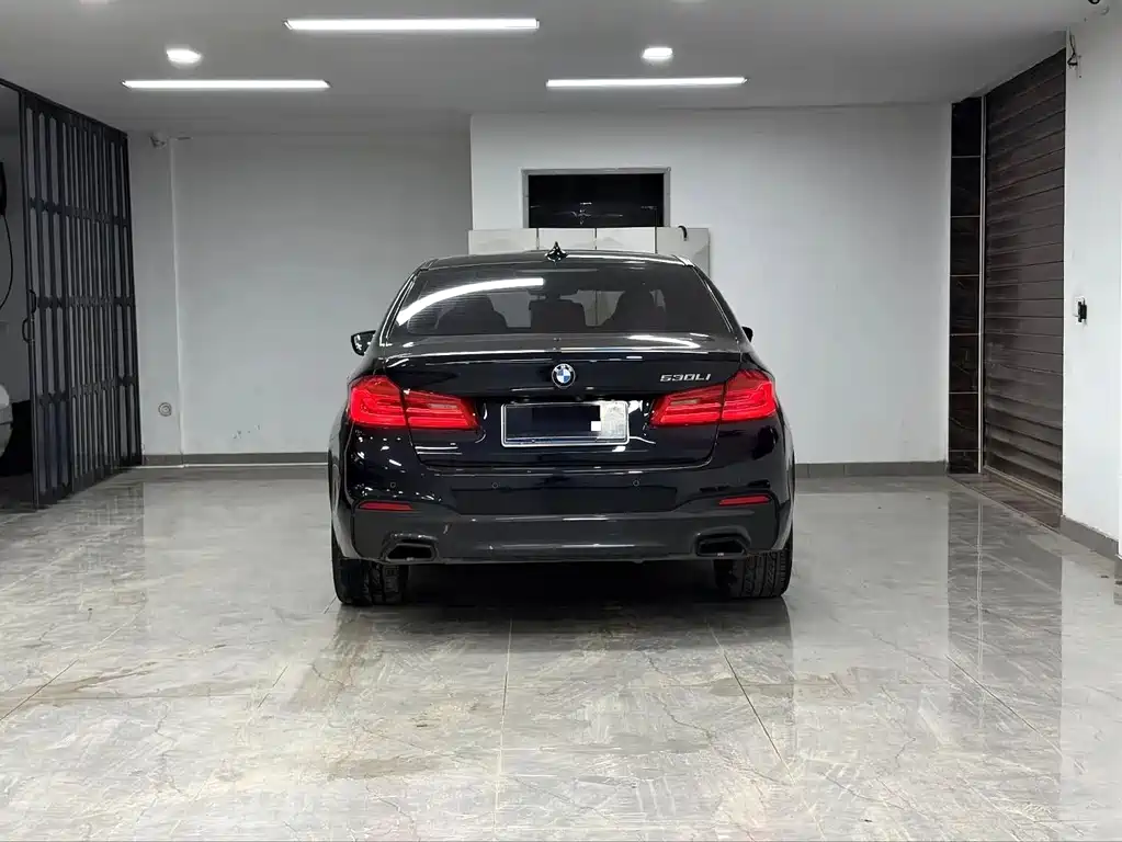BMW 5 Series 5 2020 530Li Lead M Sport