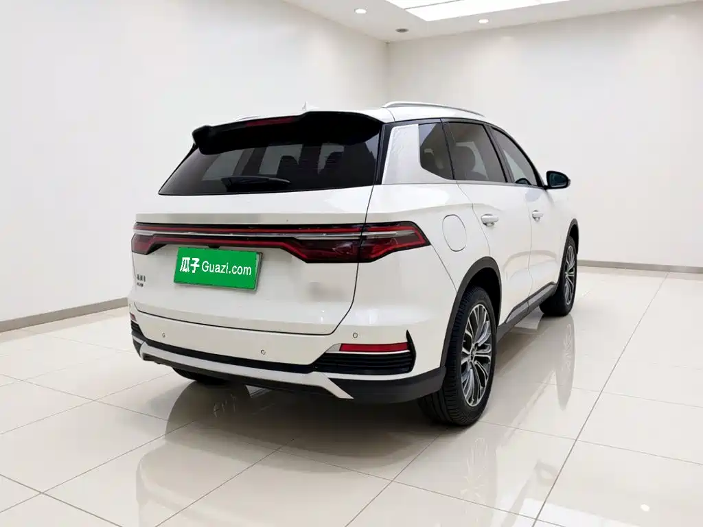 BYD Pro New Energy — миниатюра 4