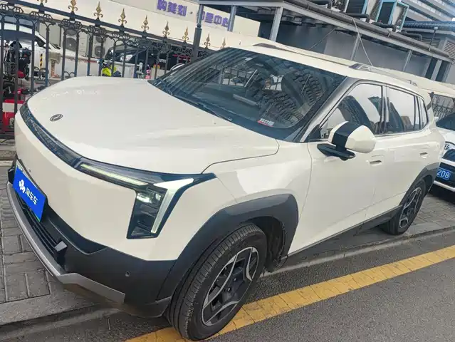 2025 DongFeng Nammi 06