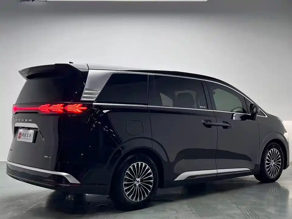 Denza Denza D9 — миниатюра 19