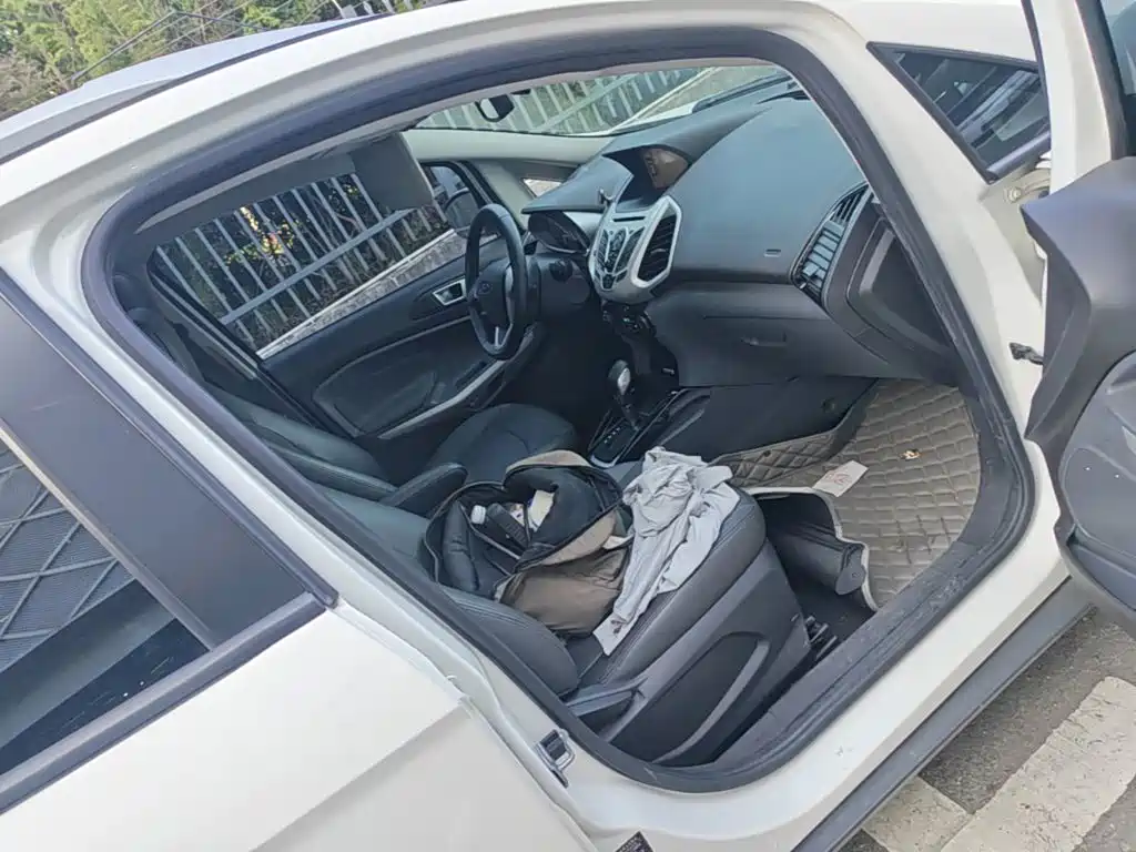 Ford Ecosport — миниатюра 11