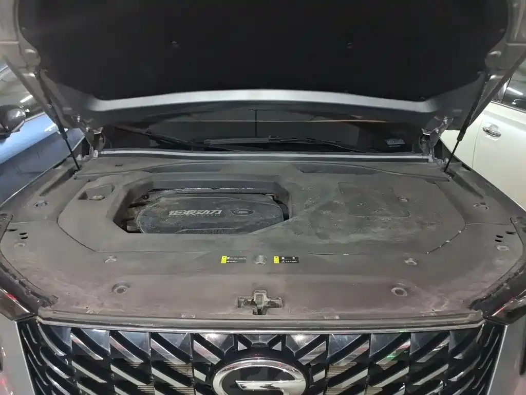 GAC Motor Trumpchi GS8 — миниатюра 21