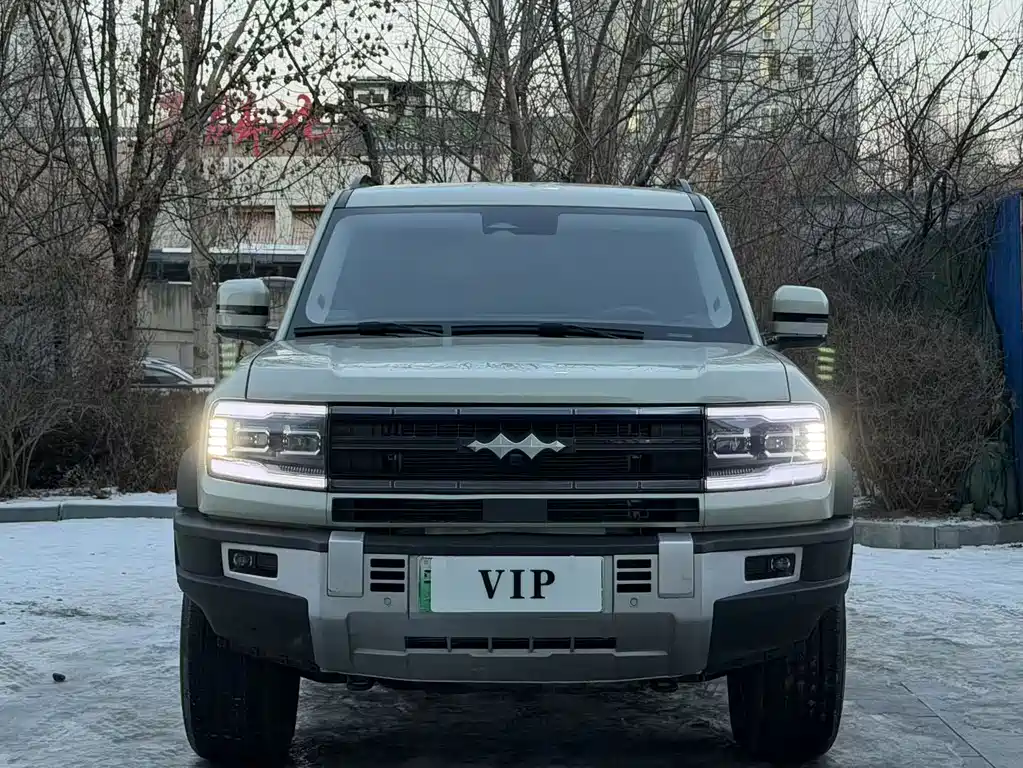 FANG CHENG BAO LEOPARD 5