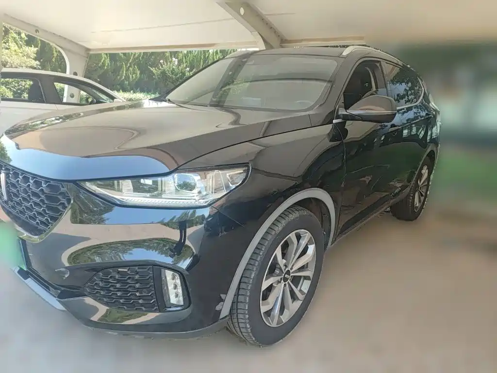 Wey Wey VV6