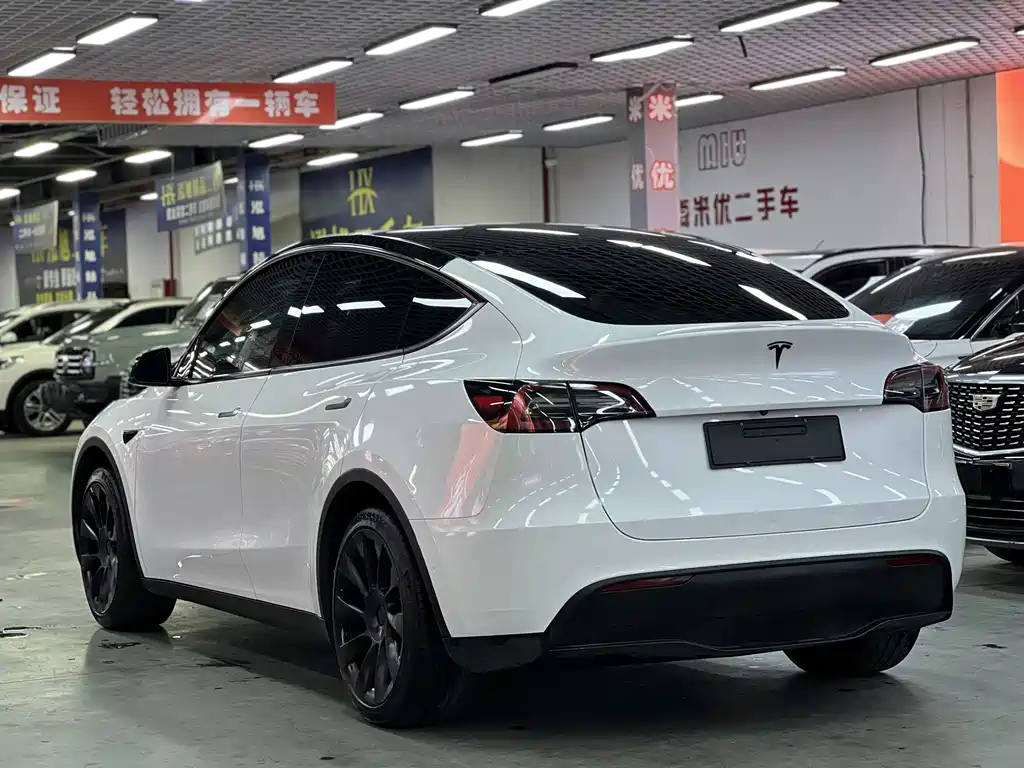 Tesla Model Y — миниатюра 6