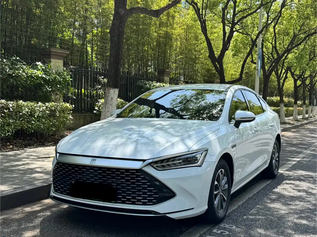 Byd Qin PLUS 2024