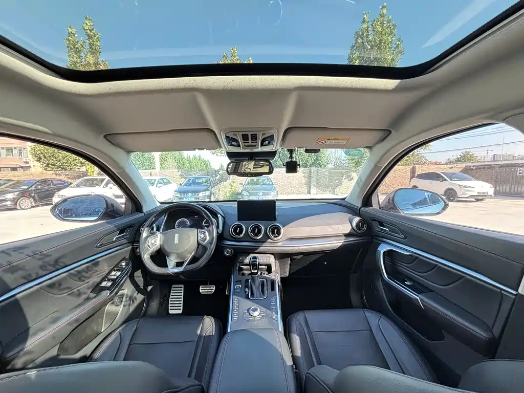 WEI PAI WEI BRAND VV5