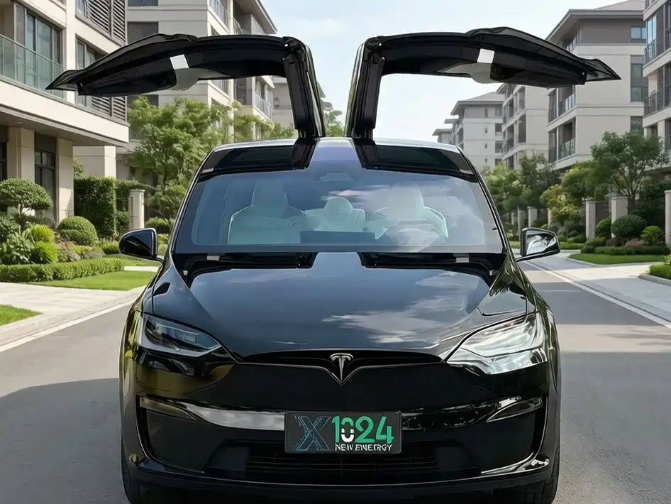 Tesla Model X — миниатюра 2