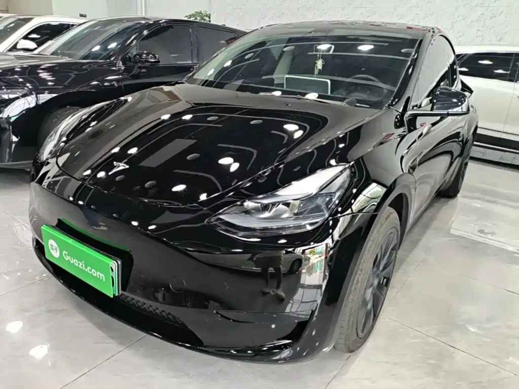 Tesla Model Y — миниатюра 2