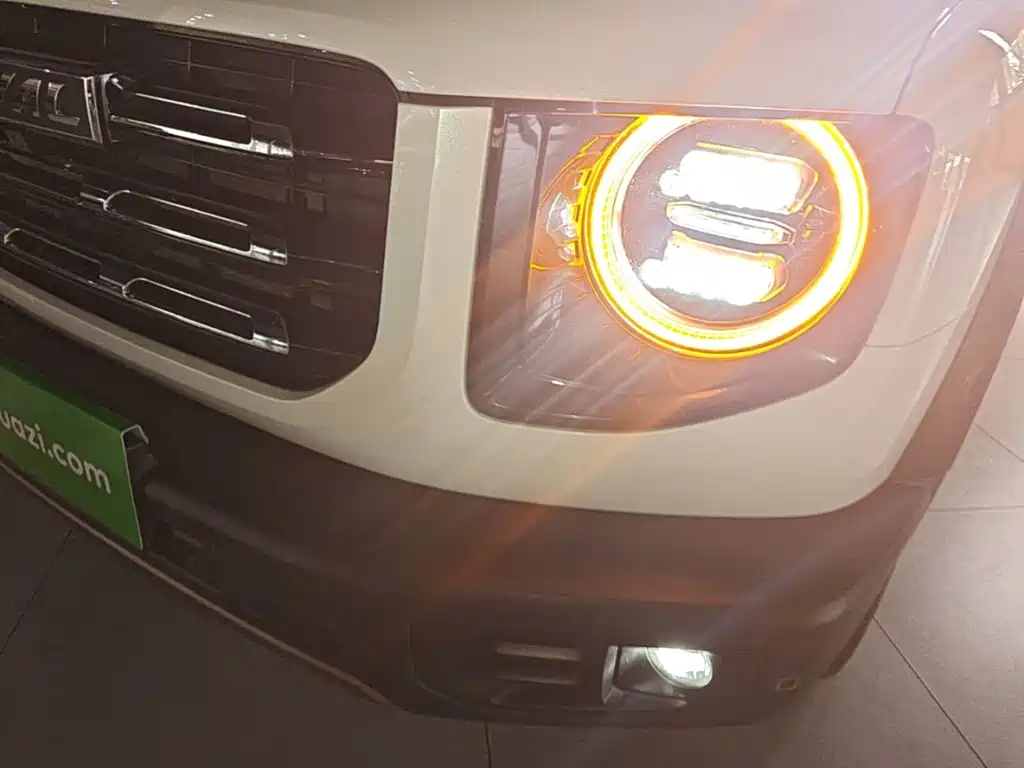 Haval Big Dog — миниатюра 24