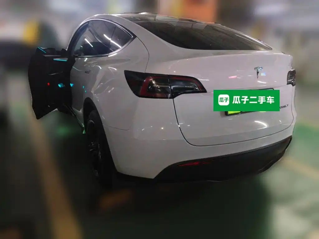 Tesla Model Y — миниатюра 4