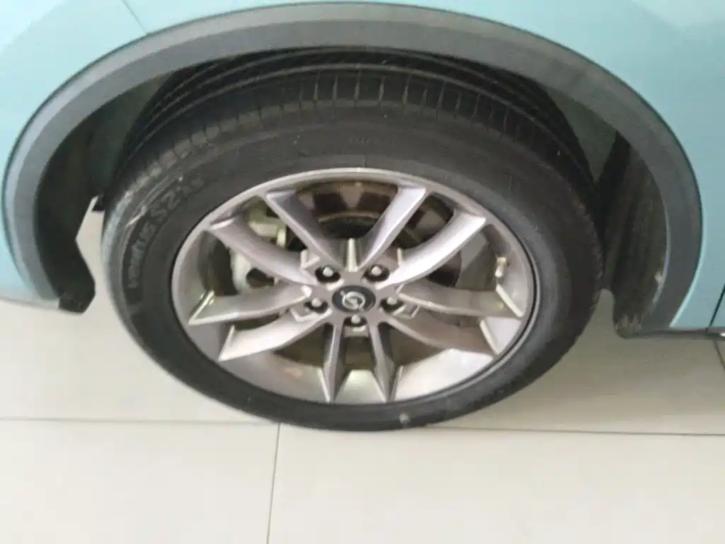 Haima Haima 7X — миниатюра 23