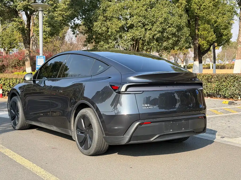 Tesla Model Y — фотографии объявления, Фото 12